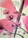 Cherry_Blossom_and_Katana_by_Zerocool748.jpg